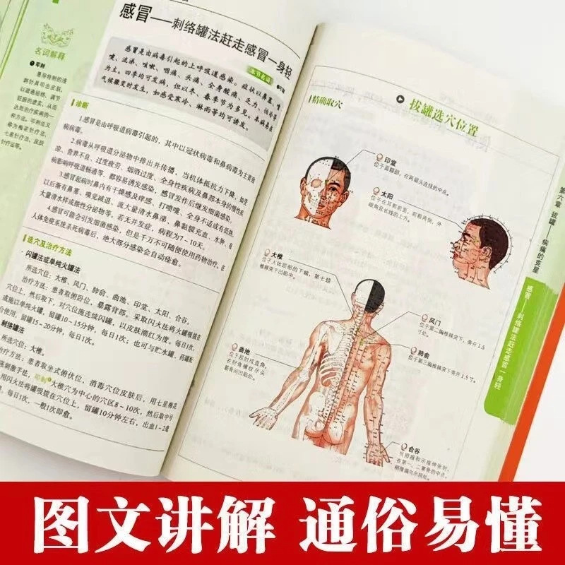 ชุดสุขภาพและเวลเนสแบบองค์รวม:  - Health Wellness Guide บทวิจารณ์และราคา