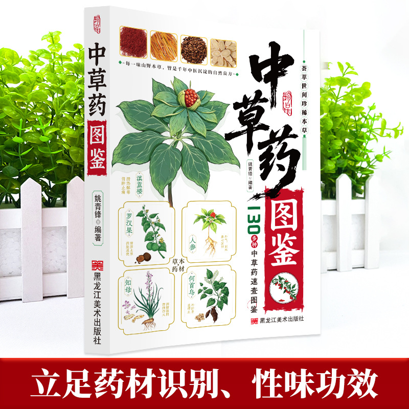 คู่มือภาพประกอบ สมุนไพรจีน 130 - Health Wellness Guide บทวิจารณ์และราคา
