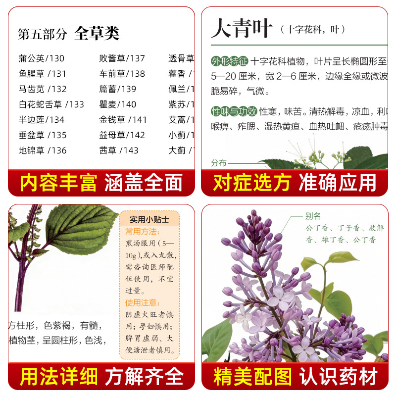 คู่มือภาพประกอบ สมุนไพรจีน 130 - Health Wellness Guide บทวิจารณ์และราคา